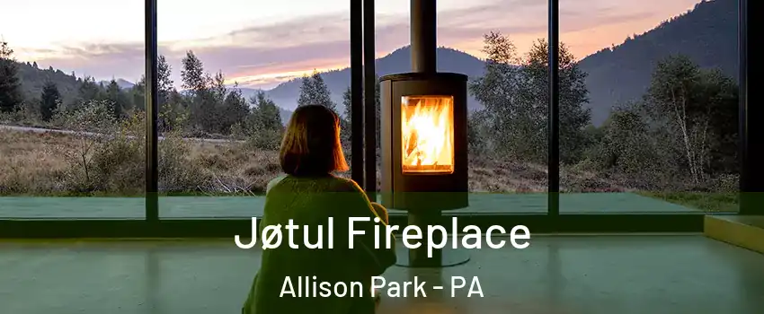  Jøtul Fireplace Allison Park - PA