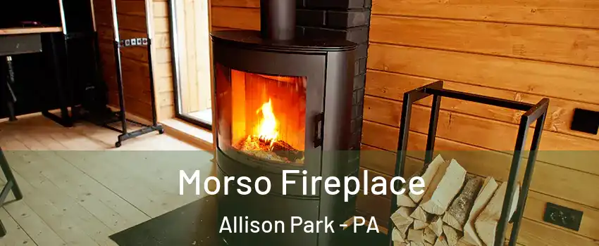  Morso Fireplace Allison Park - PA