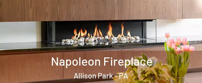  Napoleon Fireplace Allison Park - PA