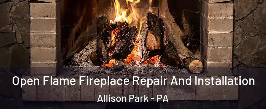  Open Flame Fireplace Repair And Installation Allison Park - PA