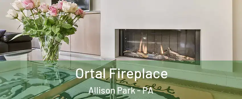 Ortal Fireplace Allison Park - PA