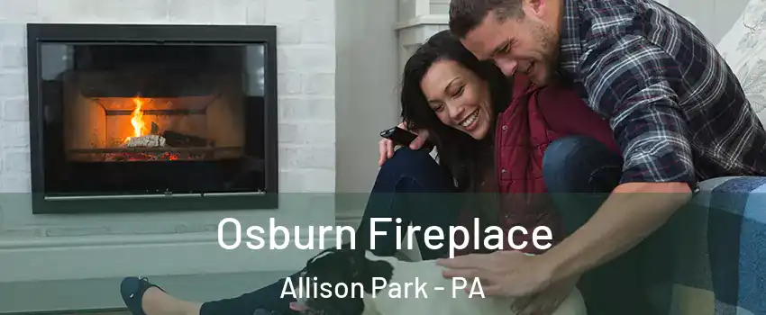  Osburn Fireplace Allison Park - PA