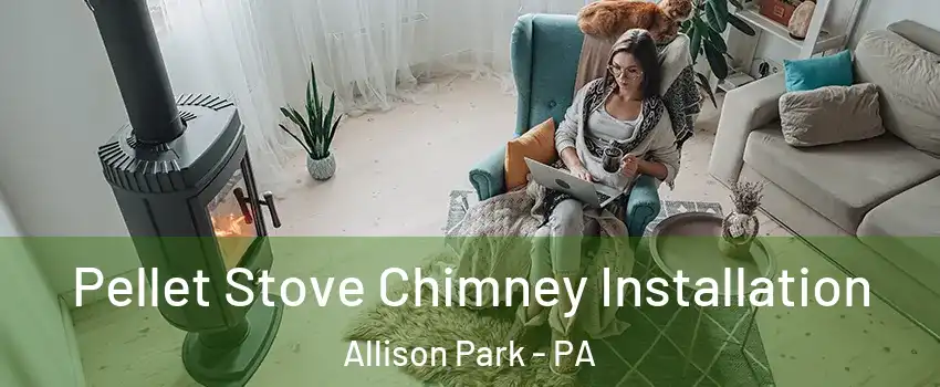  Pellet Stove Chimney Installation Allison Park - PA