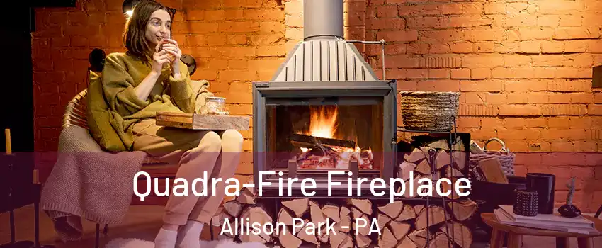  Quadra-Fire Fireplace Allison Park - PA