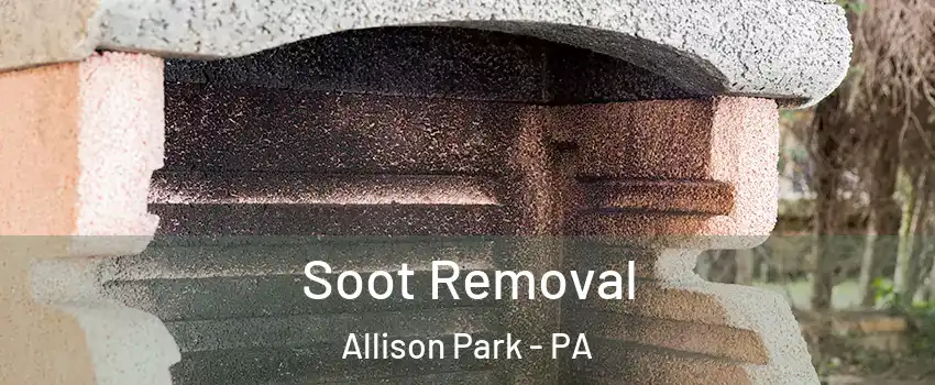  Soot Removal Allison Park - PA
