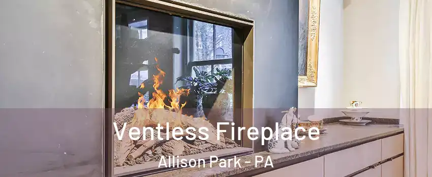  Ventless Fireplace Allison Park - PA