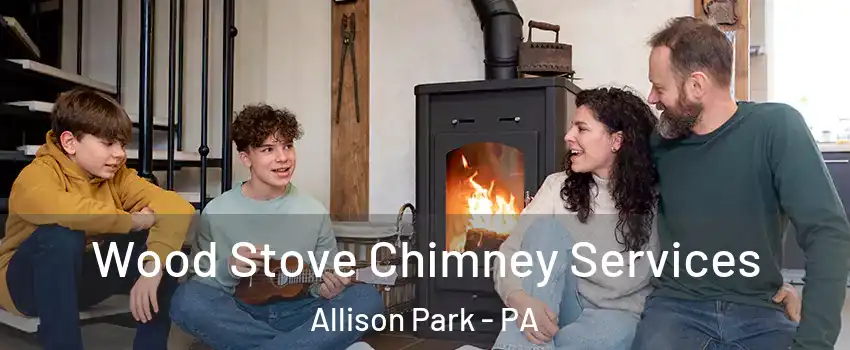  Wood Stove Chimney Services Allison Park - PA