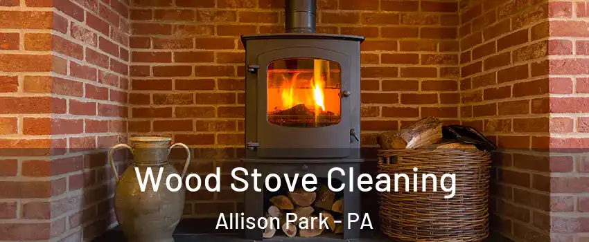  Wood Stove Cleaning Allison Park - PA